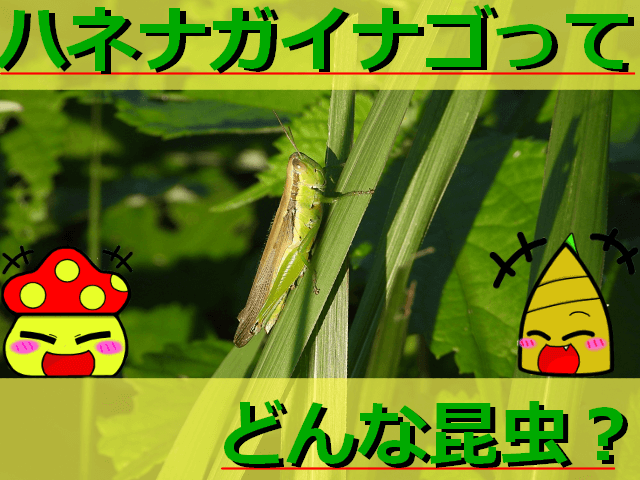 Thumbnail of post image 089